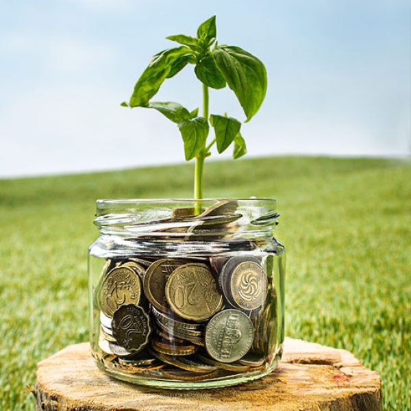 Investment